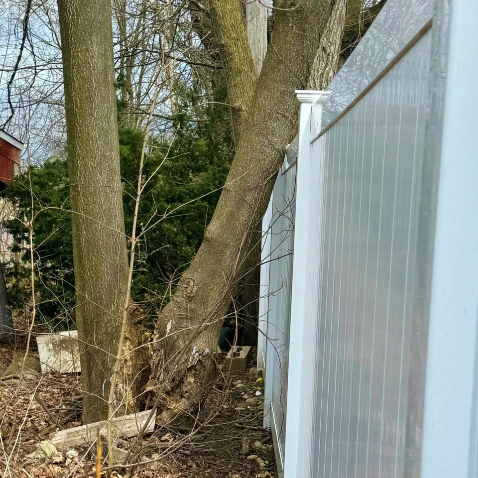 split tree falling into vinyl fence near woods
