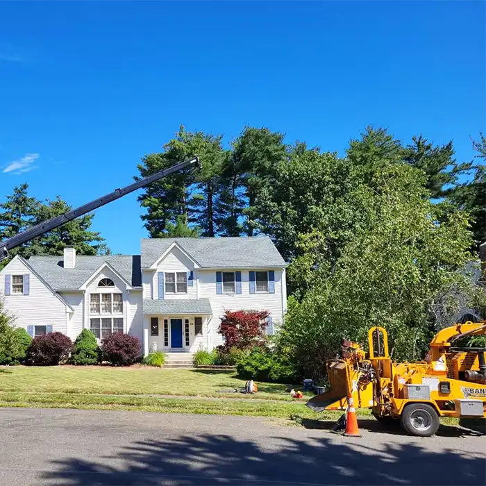 crane over house with tree branches being disposed in front yard