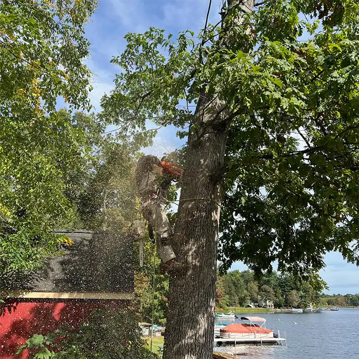 worker on rig performing tree removal service near lake