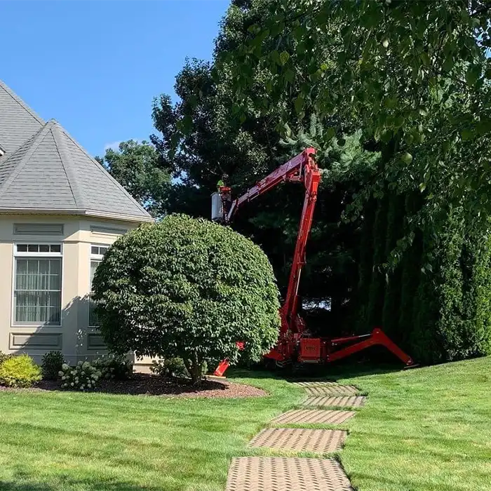 red lift platform for tree removal service next to house