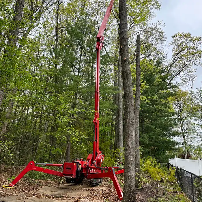 red lift platform for tree removal service in woods
