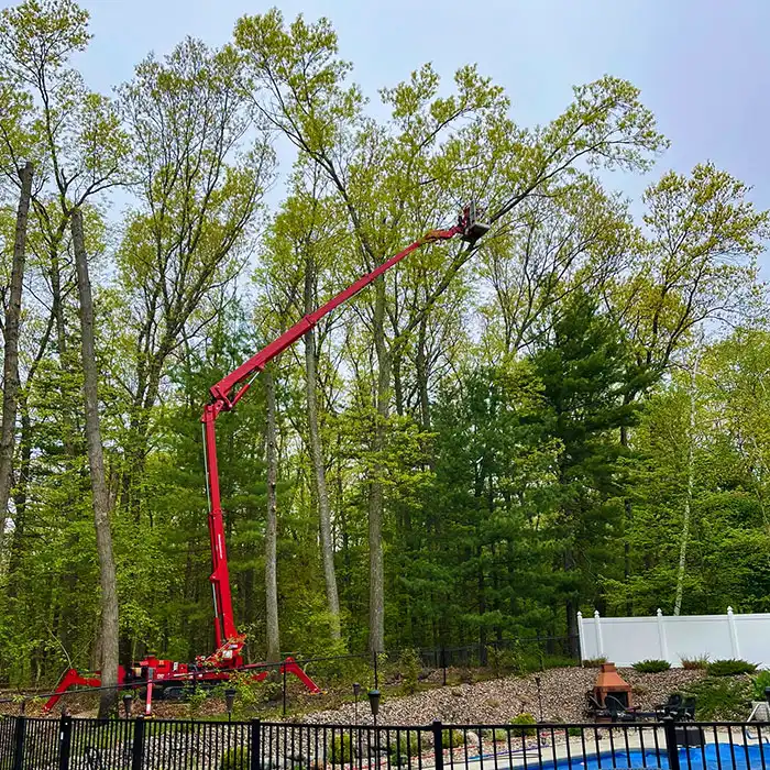 red lift platform for tree removal service in backyard woods