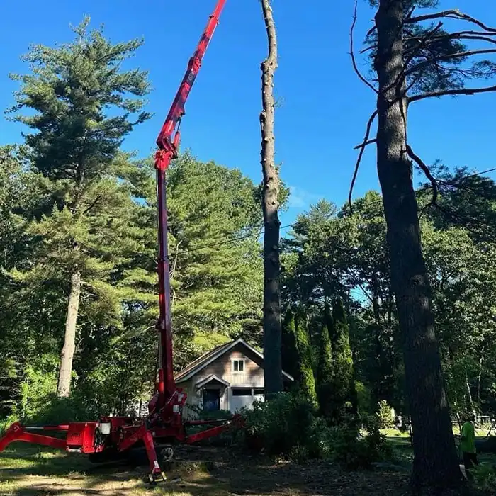 red lift platform for tree removal service in woods behind house