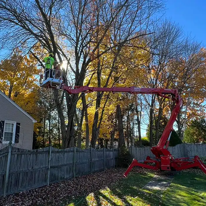 red lift platform for tree removal service behind house