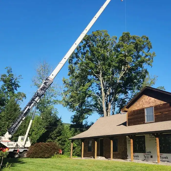 crane over house for tree removal service