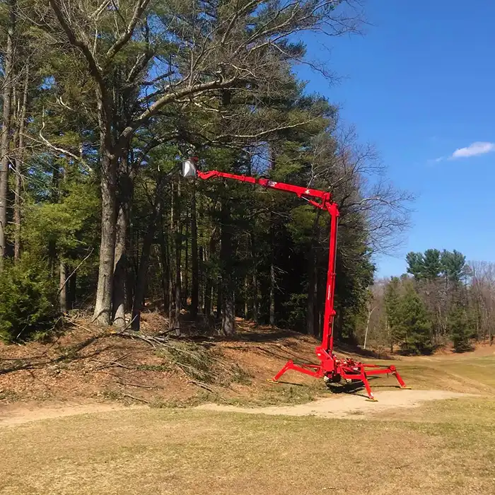 red lift platform for tree removal service in woods